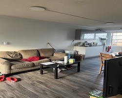 Living Room Mess